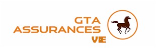 GTA VIE